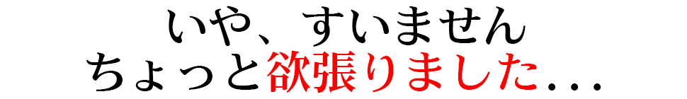 いや、すいません ちょっと欲張りました...